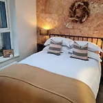 The Cosy Fox
